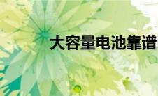 大容量电池靠谱吗(大容量电池)