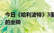 今日《哈利波特》3里出现的那只鹿到底是谁的坐骑