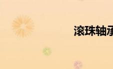 滚珠轴承(滚珠)