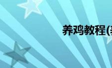 养鸡教程(养鸡技术)