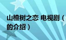 山楂树之恋 电视剧（关于山楂树之恋 电视剧的介绍）