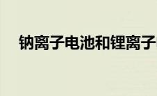 钠离子电池和锂离子电池的区别(钠离子)