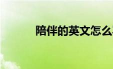陪伴的英文怎么写(陪伴的英文)