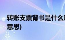 转账支票背书是什么意思啊(支票背书是什么意思)