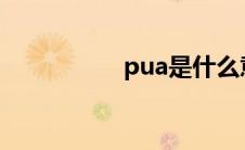 pua是什么意思（pu）