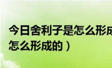 今日舍利子是怎么形成的科学解释（舍利子是怎么形成的）