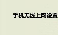 手机无线上网设置（大家学会了吗）