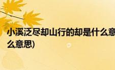 小溪泛尽却山行的却是什么意思啊(小溪泛尽却山行的却是什么意思)