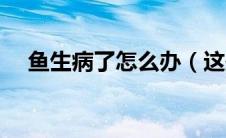 鱼生病了怎么办（这些防治措施很有用）
