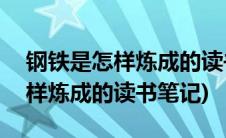钢铁是怎样炼成的读书笔记300字(钢铁是怎样炼成的读书笔记)