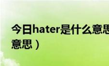 今日hater是什么意思啊英语（Hater是什么意思）