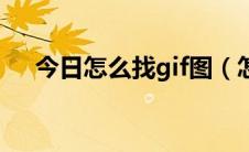 今日怎么找gif图（怎么找gif图的出处）