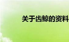 关于齿鲸的资料（齿鲸的简介）