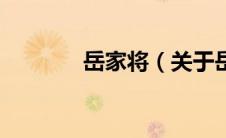 岳家将（关于岳家将的介绍）