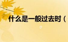 什么是一般过去时（一般过去时的定义）