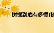 树懒到底有多慢(树懒为什么这么慢)