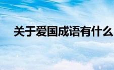 关于爱国成语有什么(关于爱国成语大全)
