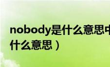 nobody是什么意思中文翻译（英语nobody什么意思）