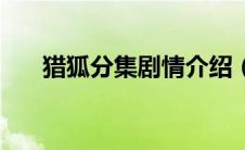 猎狐分集剧情介绍（电视剧内容介绍）