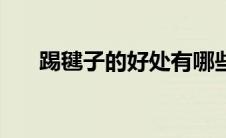 踢毽子的好处有哪些（踢毽子的简介）