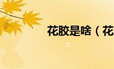 花胶是啥（花胶简单介绍）