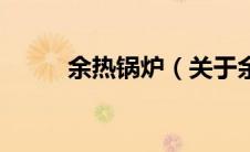 余热锅炉（关于余热锅炉的介绍）