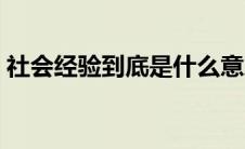 社会经验到底是什么意思（什么是社会经验）