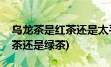 乌龙茶是红茶还是太平猴魁绿茶(乌龙茶是红茶还是绿茶)