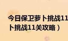 今日保卫萝卜挑战11金萝卜攻略图（保卫萝卜挑战11关攻略）