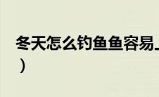 冬天怎么钓鱼鱼容易上钩（2分钟就有鱼上钩）