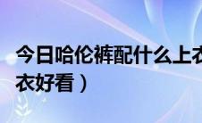 今日哈伦裤配什么上衣好看（哈伦裤配什么上衣好看）