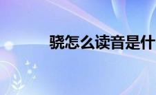 骁怎么读音是什么（骁怎么读）