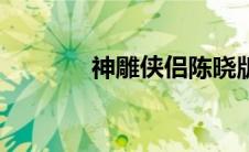 神雕侠侣陈晓版（神雕侠侣）