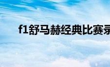f1舒马赫经典比赛录像（F1比赛制度）