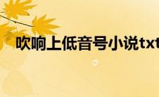 吹响上低音号小说txt(吹响上低音号小说)