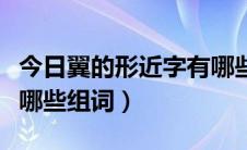 今日翼的形近字有哪些并组词（翼的形近字有哪些组词）
