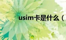 usim卡是什么（usim卡是什么）
