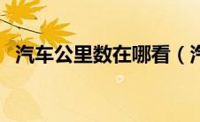 汽车公里数在哪看（汽车公里数怎么查看）