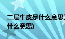 二层牛皮是什么意思为什么分层(二层牛皮是什么意思)