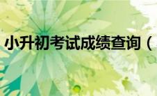 小升初考试成绩查询（小升初考试成绩查询）