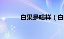 白果是啥样（白果是什么样的）
