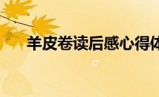 羊皮卷读后感心得体会(羊皮卷读后感)