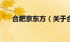 合肥京东方（关于合肥京东方的介绍）