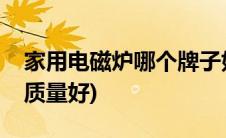 家用电磁炉哪个牌子好(家用电磁炉哪个牌子质量好)