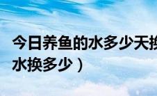今日养鱼的水多少天换一次（养鱼多久换一次水换多少）