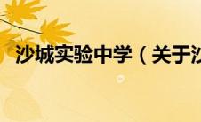 沙城实验中学（关于沙城实验中学的介绍）
