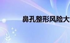 鼻孔整形风险大吗（鼻孔整形）