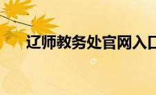 辽师教务处官网入口(辽师教务处官网)