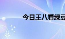 今日王八看绿豆是什么意思啊