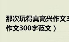 那次玩得真高兴作文300字（那次玩得真高兴作文300字范文）